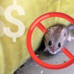 prix pour l'extermination de souris