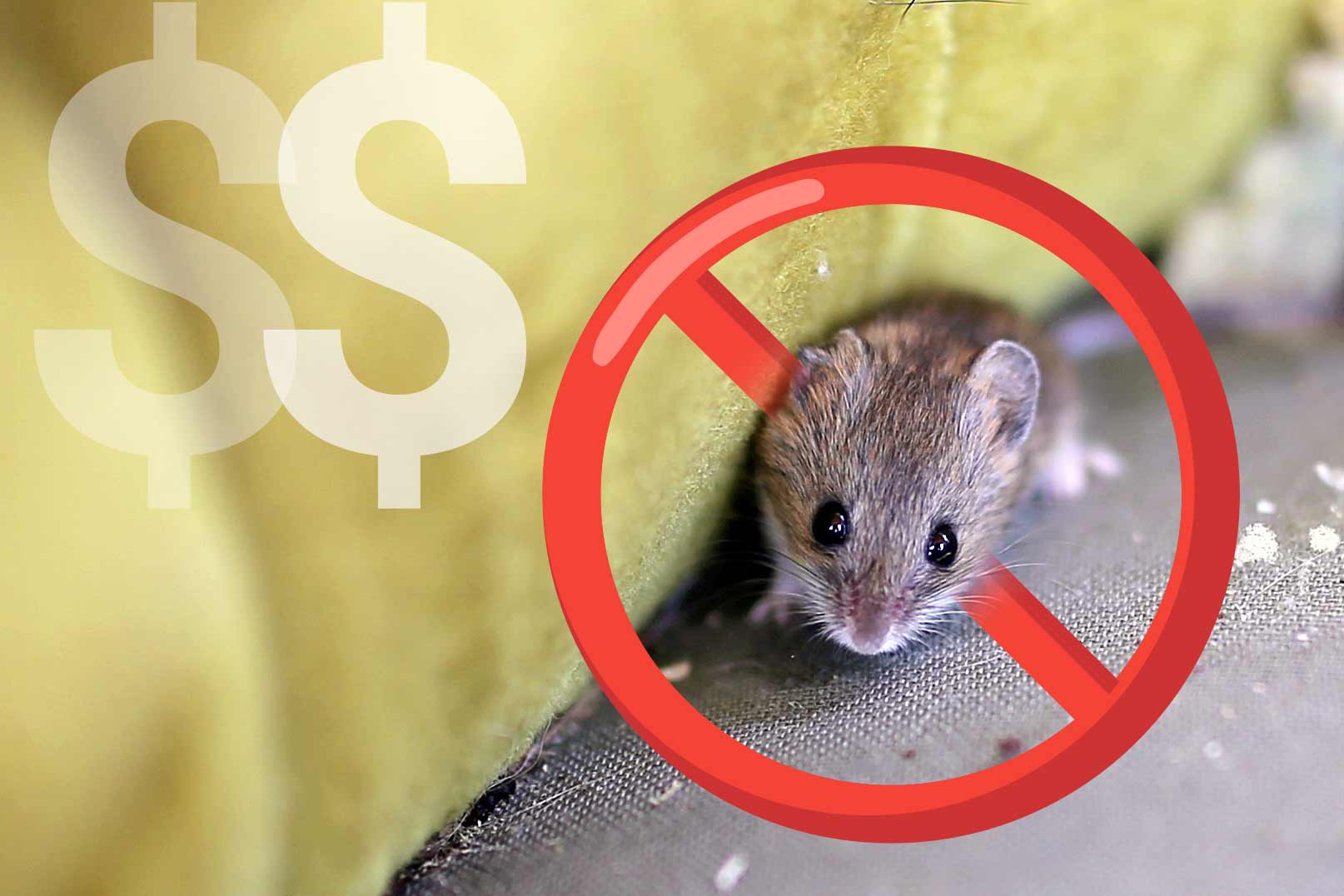 prix pour l'extermination de souris